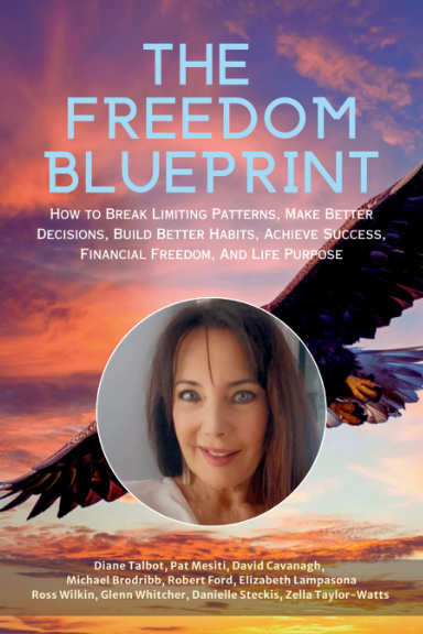 The Freedom Blueprint: Diane Talbot book cover