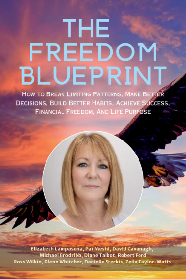 The Freedom Blueprint: Elizabeth Lampasona book cover