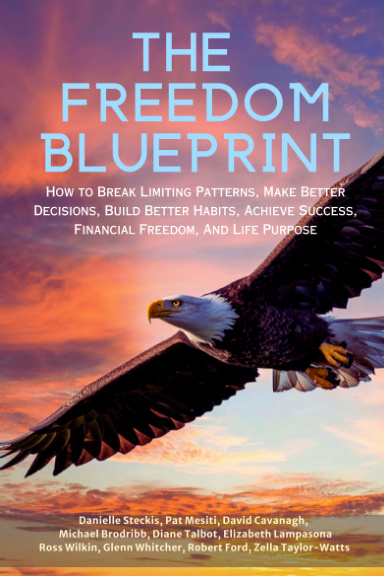 The Freedom Blueprint: Danielle Steckis book cover