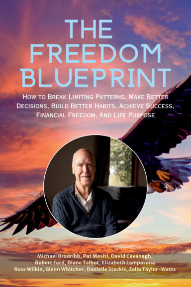 The Freedom Blueprint: Michael Brodribb book cover