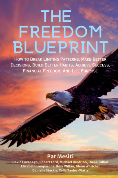 The Freedom Blueprint: Pat Mesiti book cover