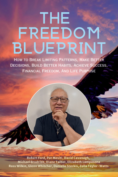 The Freedom Blueprint: Robert Ford book cover