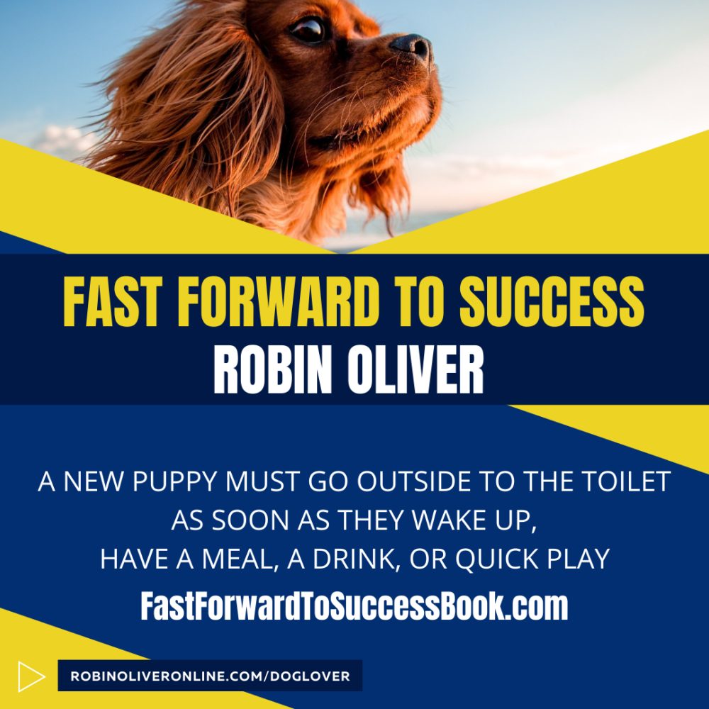 Fast Forward to Success promotional graphic