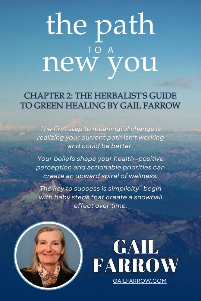 The Path To A New You: Gail Farrow - Portrait graphic 1