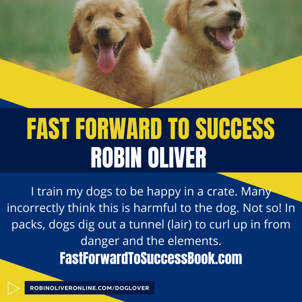 Fast Forward to Success promotional graphic