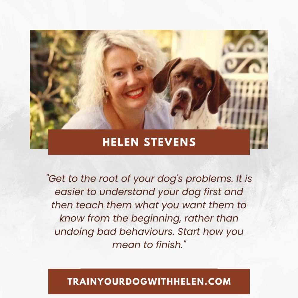 The Power of Transformation: Helen Stevens - Square graphic 1