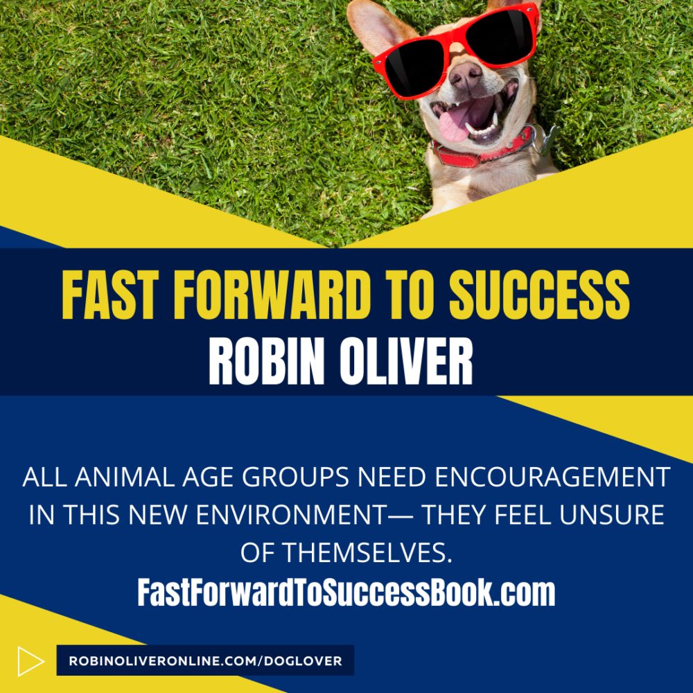 Fast Forward to Success promotional graphic