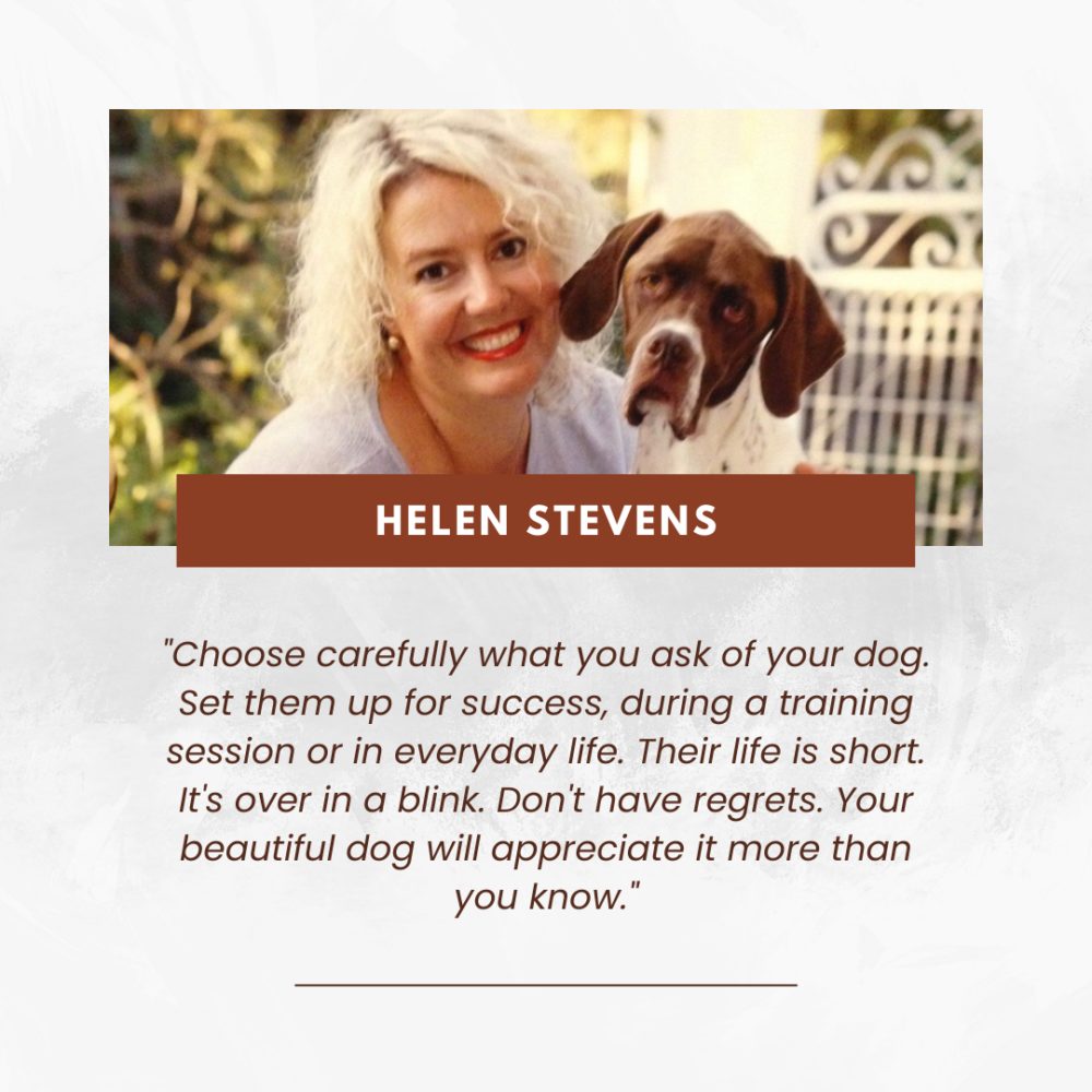 The Power of Transformation: Helen Stevens - Square graphic 4