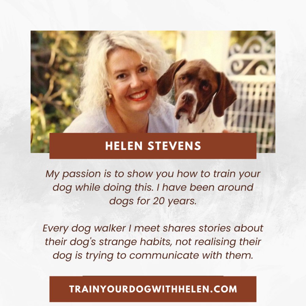 The Power of Transformation: Helen Stevens - Square graphic 2