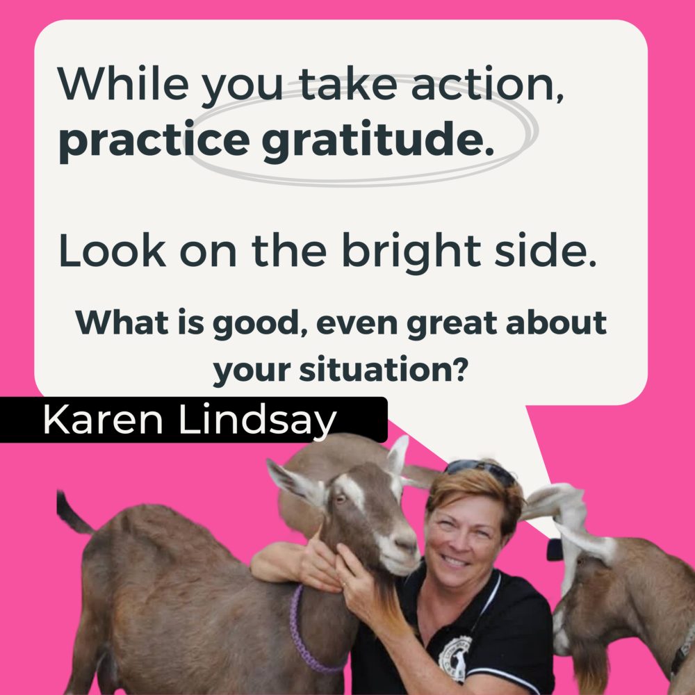 From Potential To Prosperity: Karen Lindsay - Square graphic 1