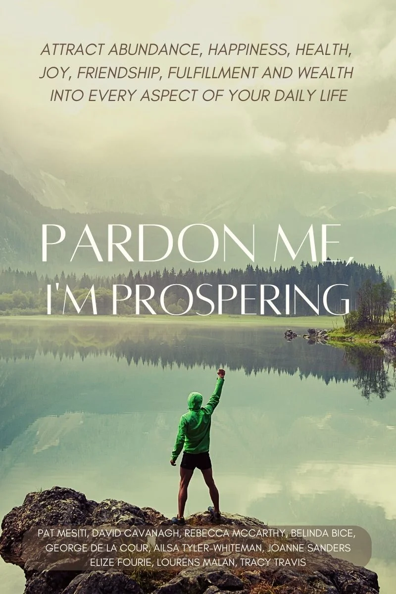 Pardon Me, I'm Prospering book cover