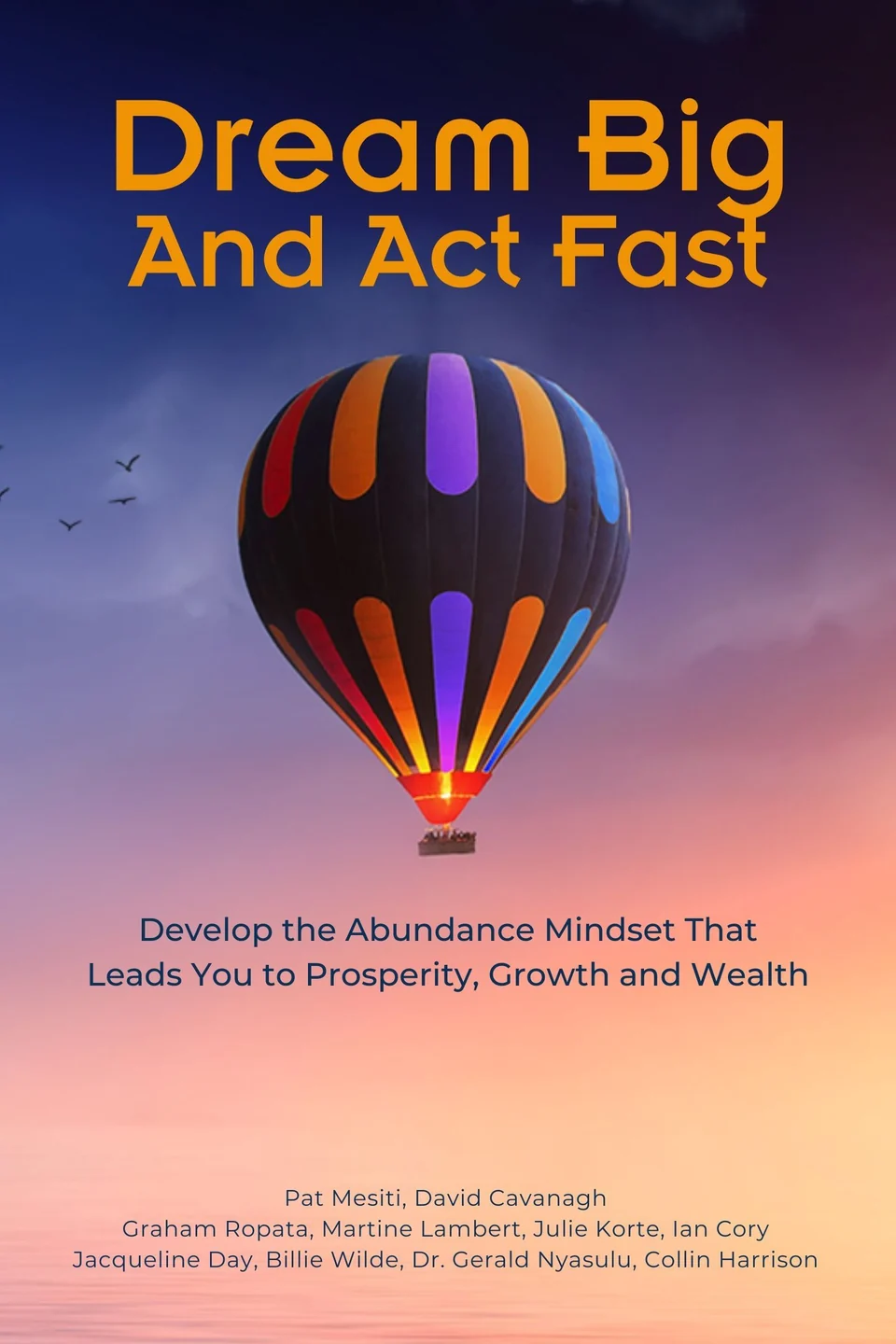 Dream Big And Act Fast book cover