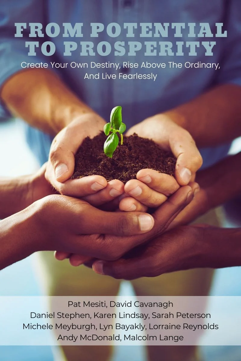 From Potential To Prosperity cover preview